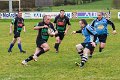 Perennials_at_Monaghan_01_12_2013 (40)